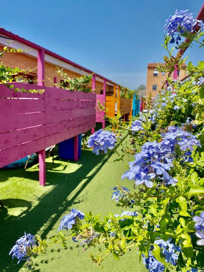 Hotel Acajou Argelès-sur-Mer Esterno foto